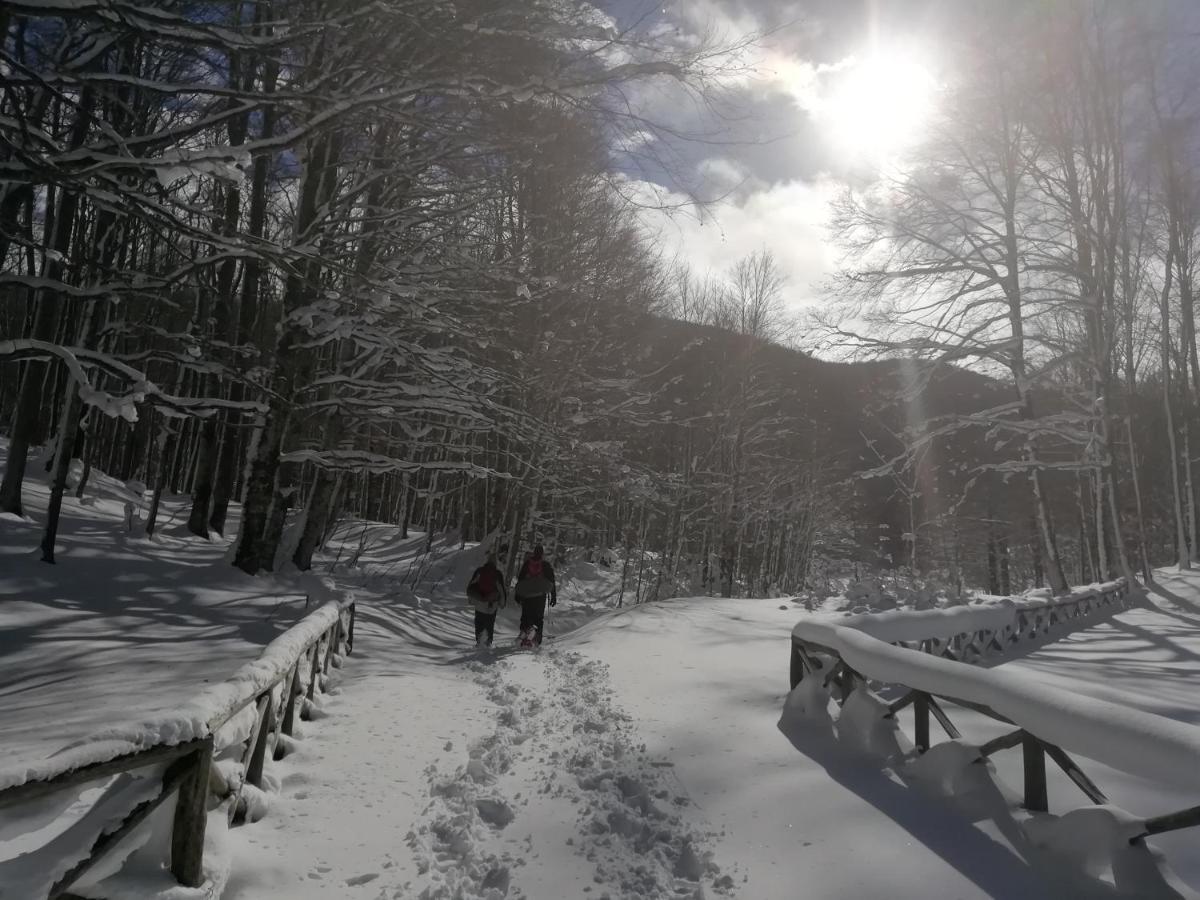 B&B Il Buon Cammino Roccamandolfi Eksteriør billede